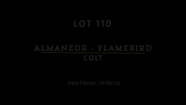 Lot 110