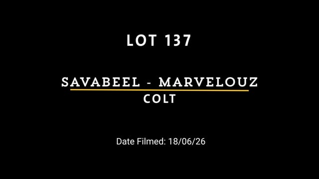 Lot 137
