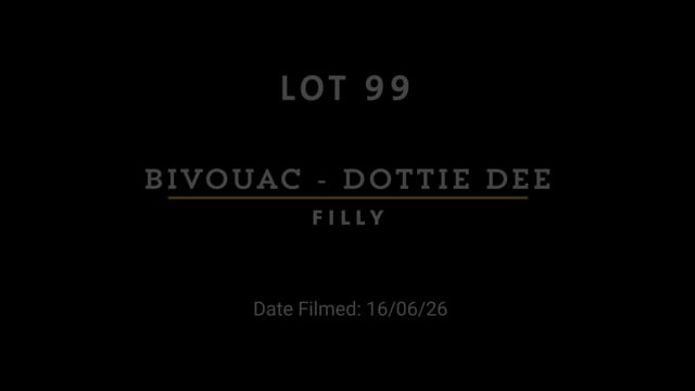Lot 99