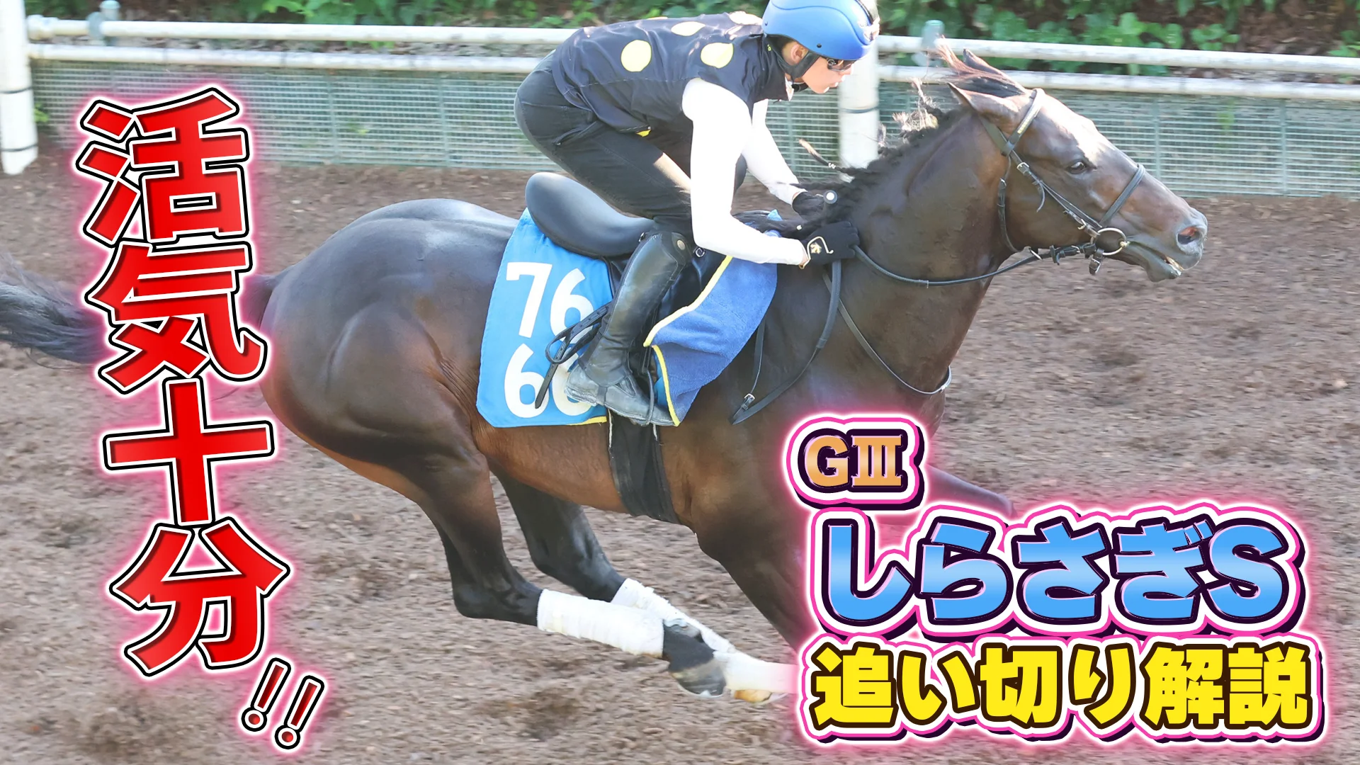 しらさぎS2026】各出走馬の追い切りを東西記者が徹底解説します