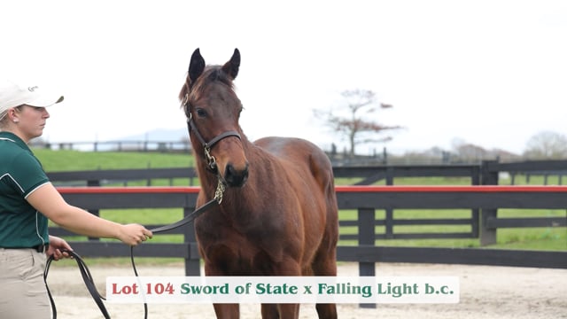 Lot 104