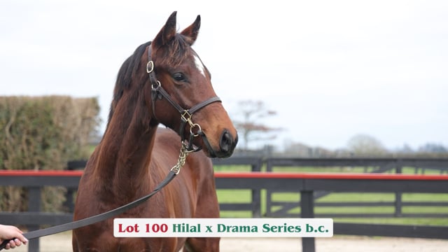 Lot 100