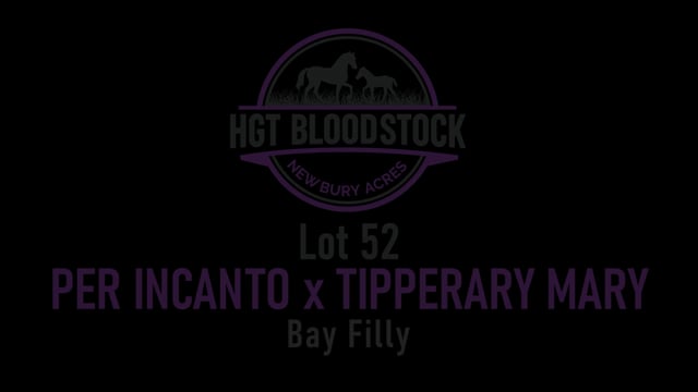 Lot 52