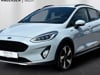 Video af Ford Fiesta 1,0 EcoBoost Active Start/Stop 125HK 5d 6g