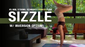 *NEW *  45. Min. Planky, Power Flow w/ Inversion Practice