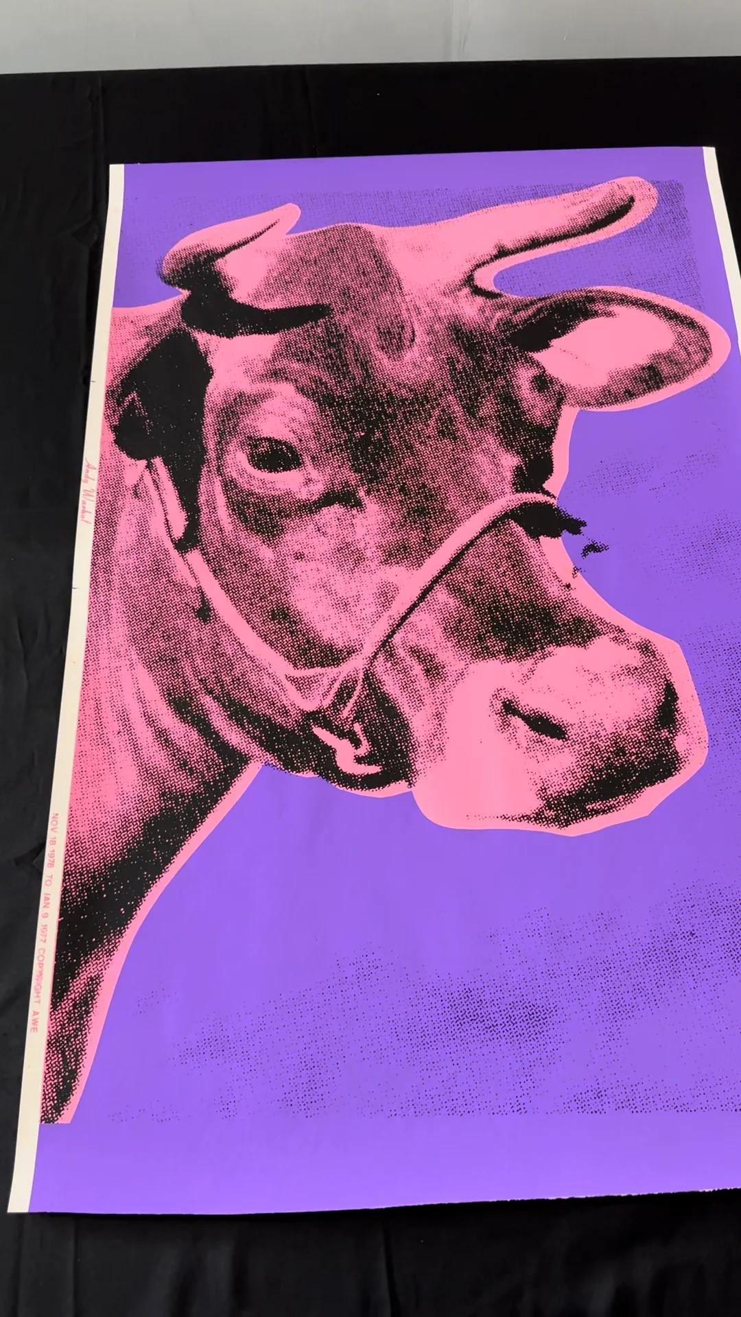 Andy Warhol | Cow 12A (1976) | For Sale | Artsy