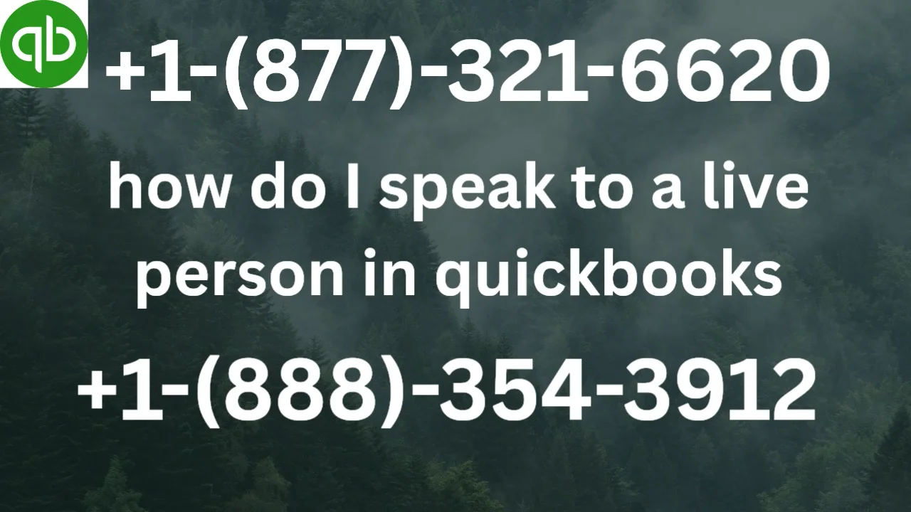 How do I actually talk to someone in QuickBooks?
