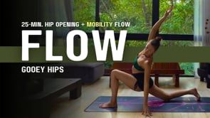 25-Min. Vinyasa Flow w/ Gooey Hip Openers + Mobility