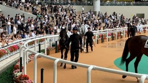 動画サムネイル