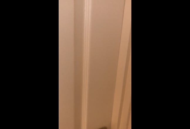 Video 1: 