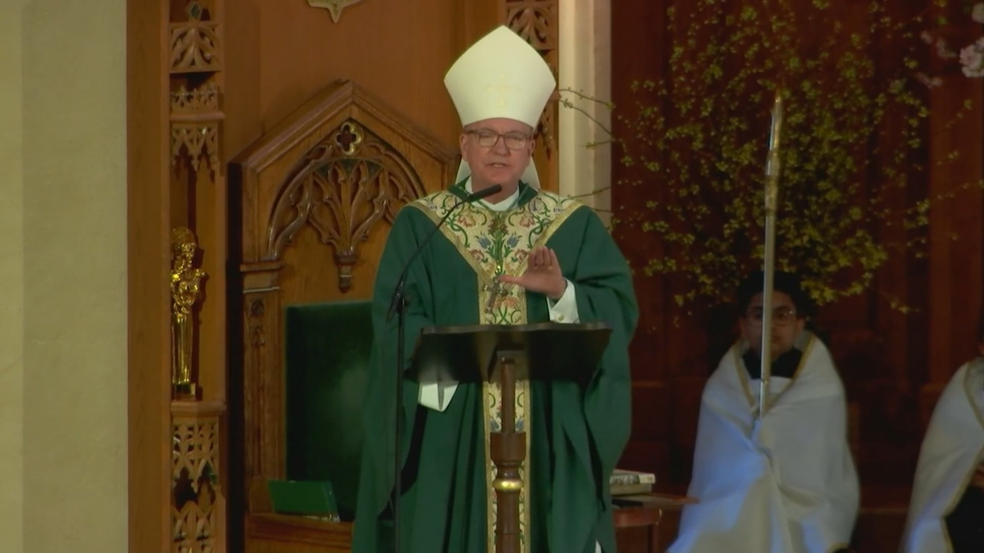 Bishop John Barres' Homily for the Twelfth Sunday in Ordinary Time