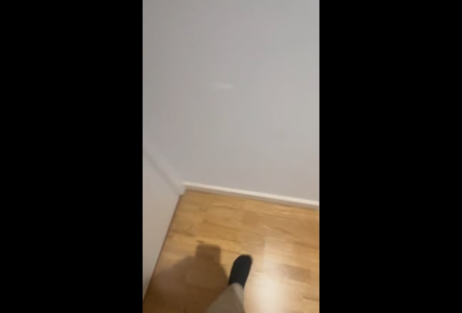 Video 1: 
