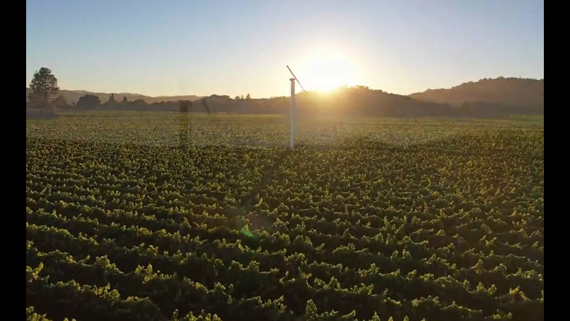 Napa winery property aerial media testimonial thumbnail