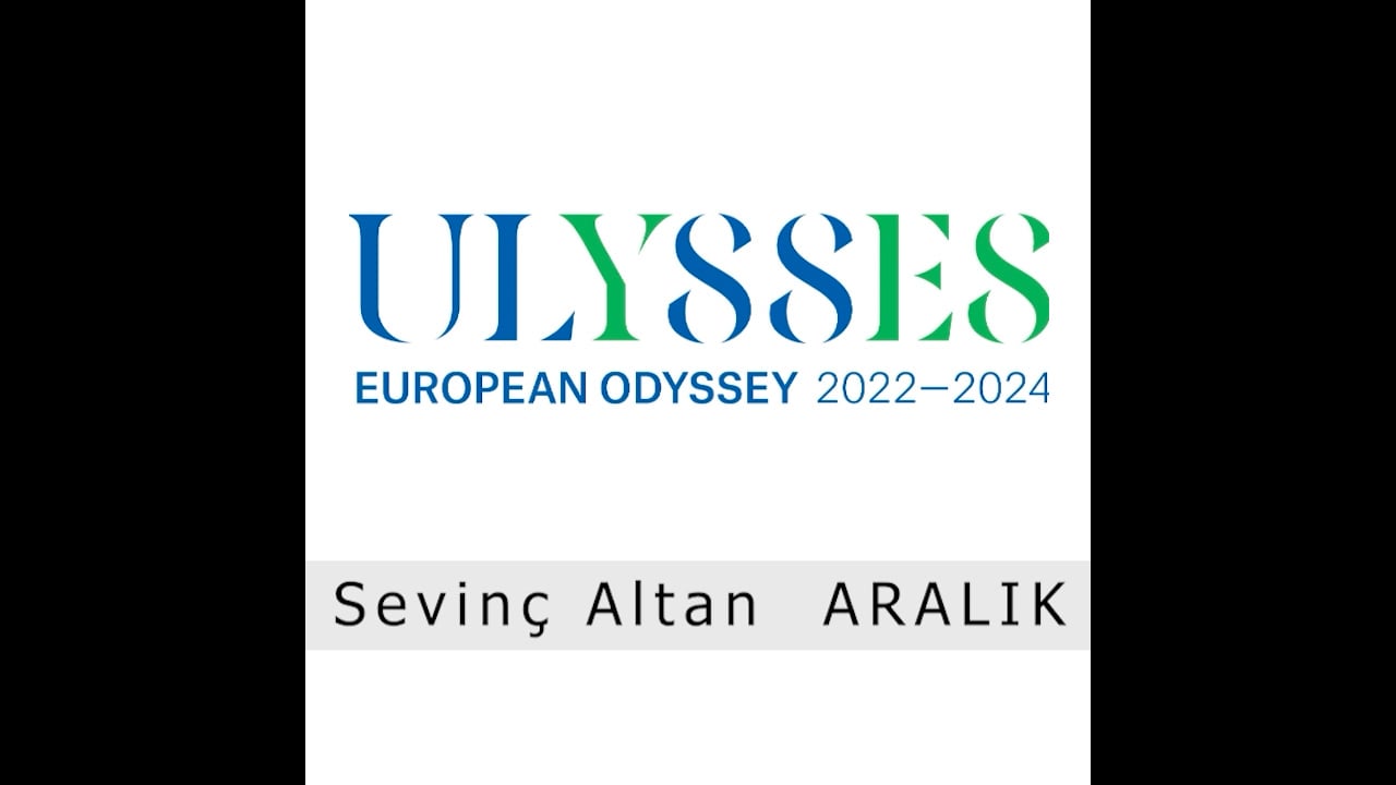 Sevinç Altan - Aralık