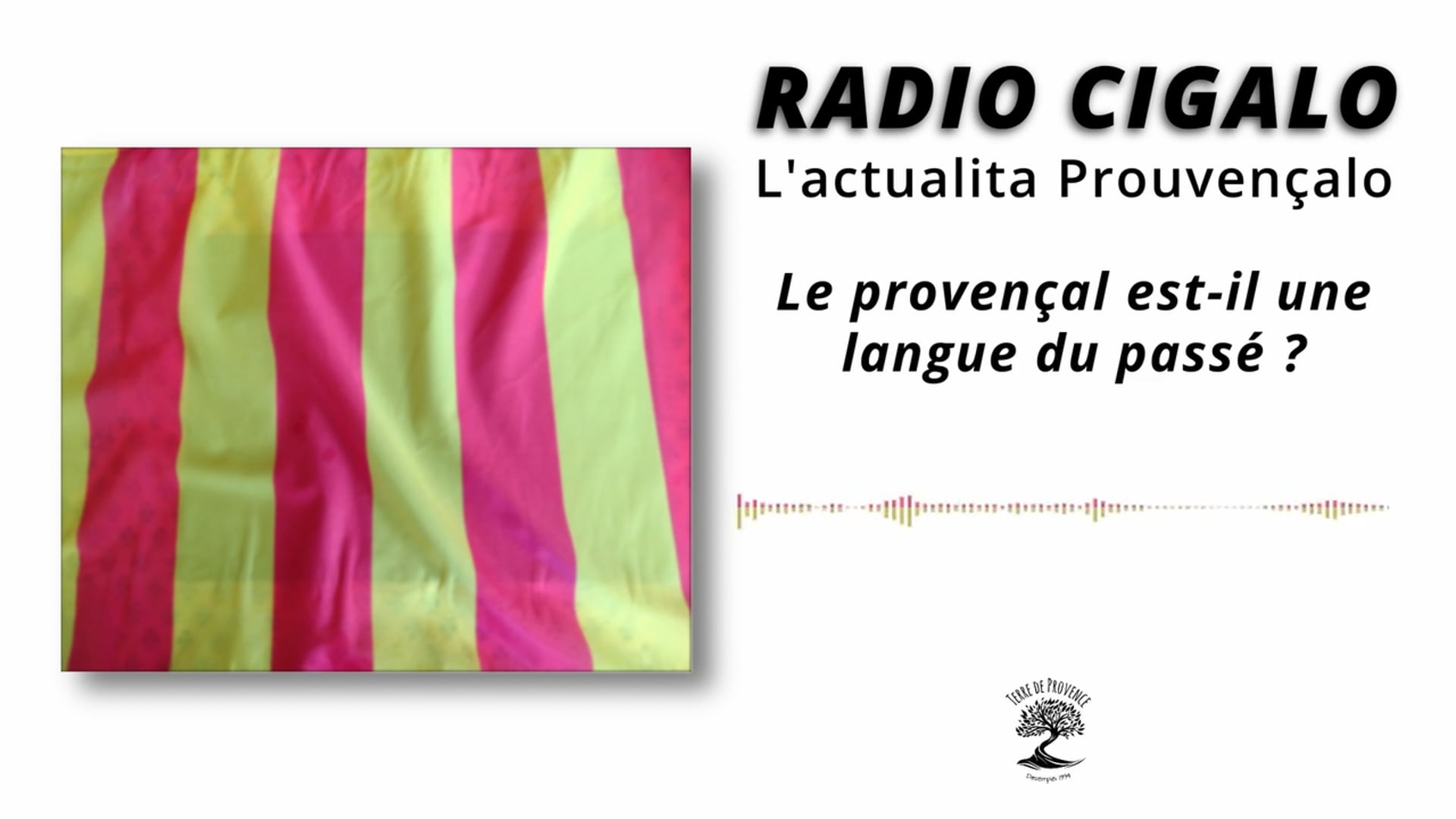 Le provençal, une langue du passé ?