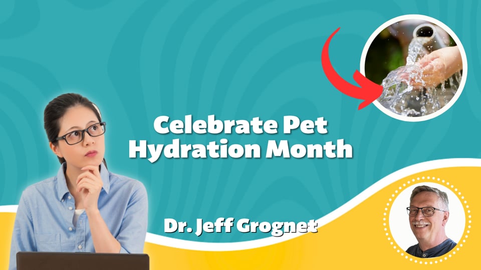 Celebrate Pet Hydration Month