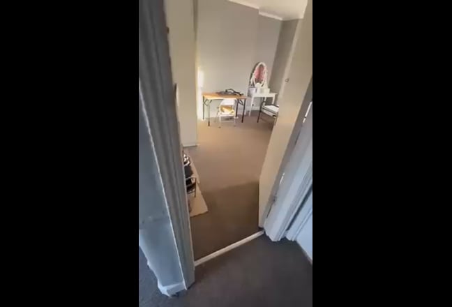 Video 1: 
