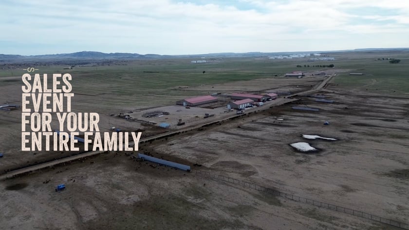 vimeo-video-thumbnail