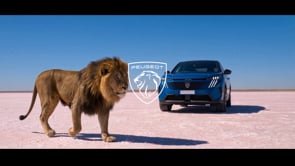 Related Embedded Video Item Thumbnail