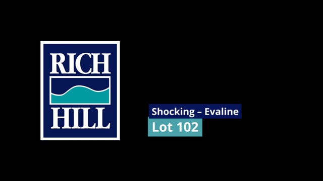 Lot 102