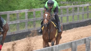 動画サムネイル