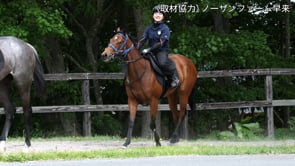 動画サムネイル