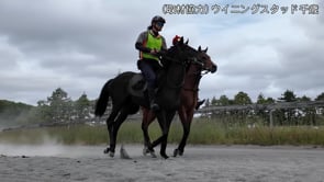 動画サムネイル