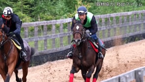 動画サムネイル