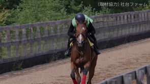 動画サムネイル