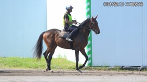 動画サムネイル