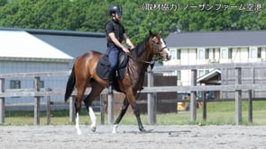 動画サムネイル