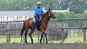 動画サムネイル