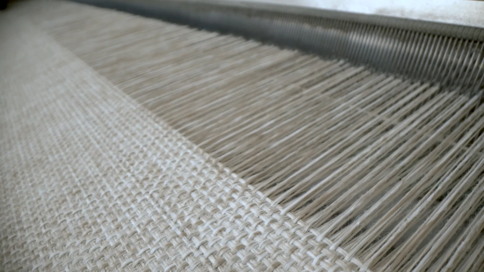 Limonta Interiors