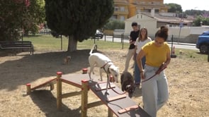 El Camp dels Pilans estrena una àrea d'esbarjo per a gossos