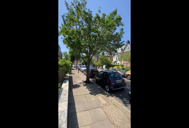 Video 1: 