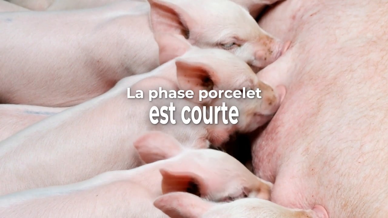 CCPA – Agroalimentaire / Agriculture – Produit / packaging – Motion design / vidéo