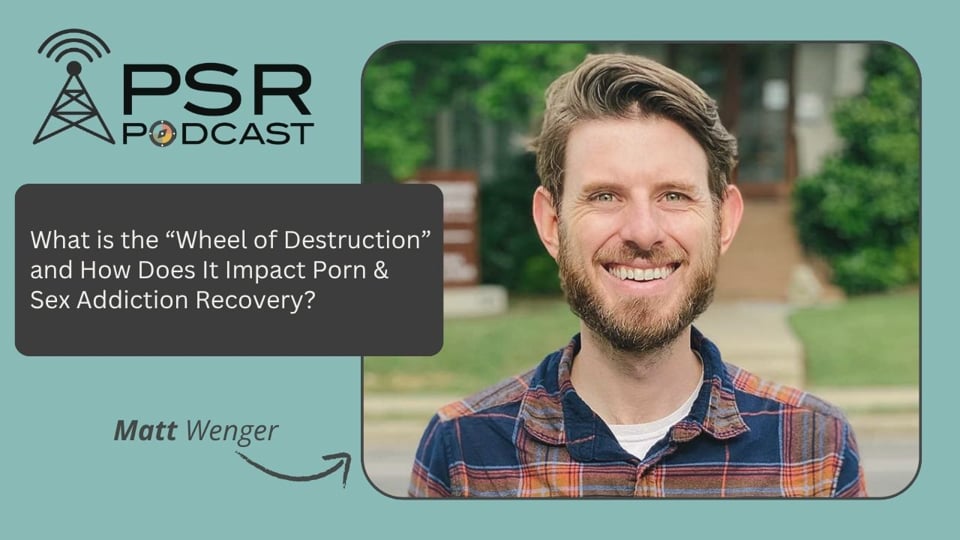 Understanding the "Wheel of Destruction" and How It Impacts Sex & Porn Addiction Recovery