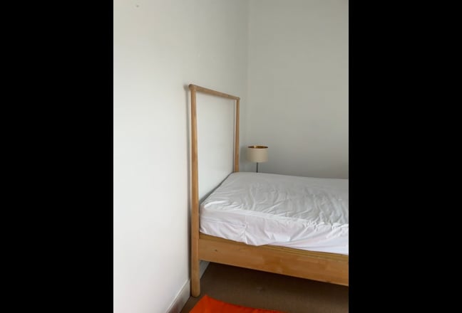 Friendly houseshare + large garden on quiet street Main Photo