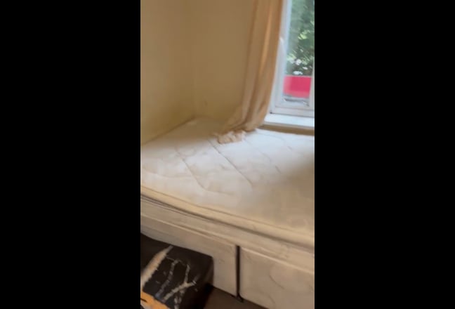 Video 1: 