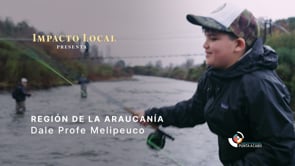 Melipeuco