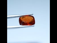 C0973