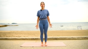 Related Embedded Video Item Thumbnail