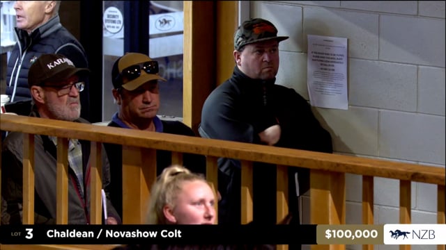 2026 National Weanling Sale | Lot 3, $250,000