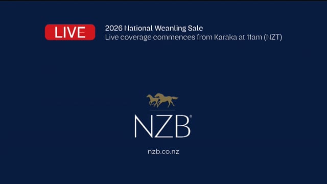 2026 National Weanling Sale, Lot 1 - Lot 7