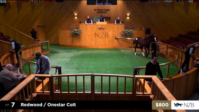 2026 National Weanling Sale, Lot 7 - Lot 16