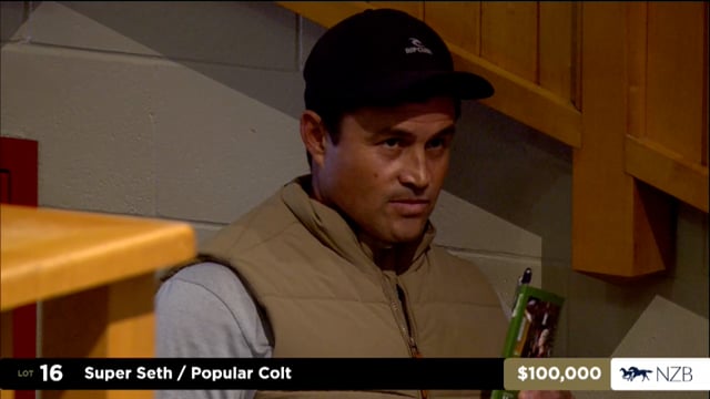 2026 National Weanling Sale, Lot 16 - Lot 23