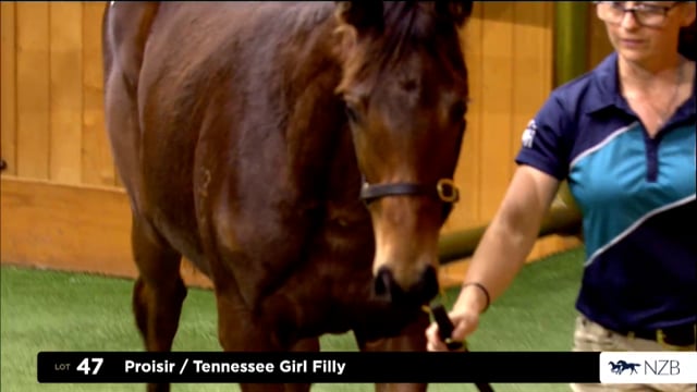 2026 National Weanling Sale, Lot 47 - Lot 58