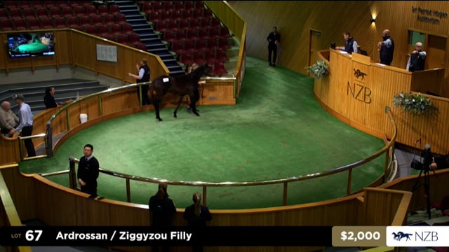 2026 National Weanling Sale, Lot 67 - Lot 78
