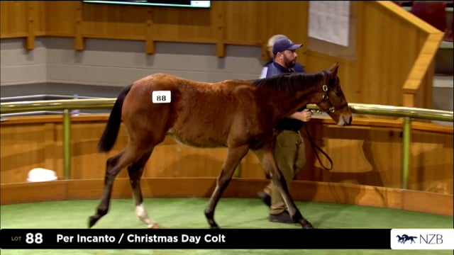 2026 National Weanling Sale, Lot 88 - Lot 99