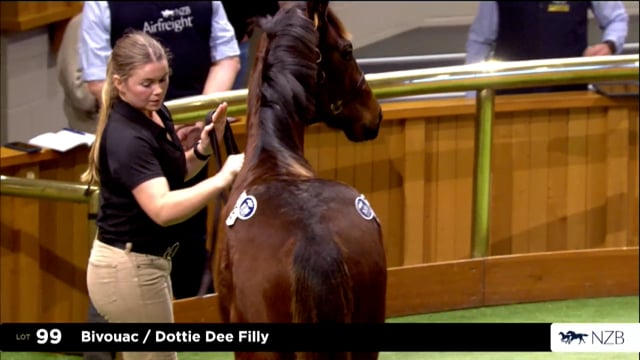 2026 National Weanling Sale, Lot 99 - Lot 109